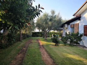 CASA ROCCO